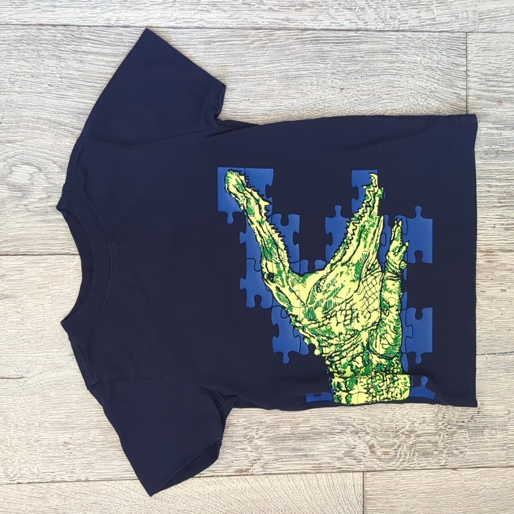 Gymboree Boys Crocodile Tee